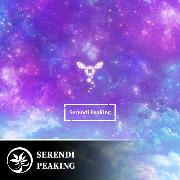 Ascension of Freedom - Night Edition Ascension of Freedom - Night Edition